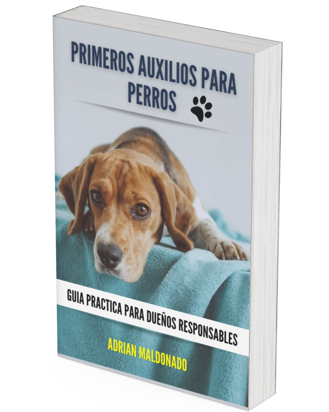 La guía que todo amante de los perros debería tener